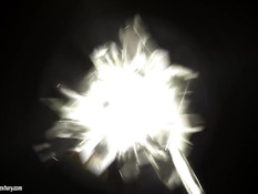 Tales From Gapeland 2 / Рассказы из Страны Дырок 2