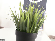 Tales From Gapeland 5 / Рассказы из Страны Дырок 5