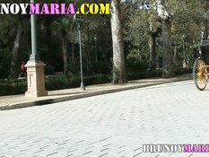 Блондинка сосала парню член в конном экипаже и ебалась раком в парке