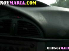 Блондинка сосала парню член в конном экипаже и ебалась раком в парке