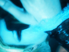 Scarlet Nights / Багряные Ночи