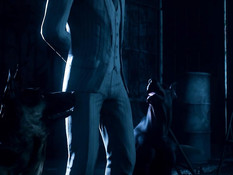 Scarlet Nights / Багряные Ночи