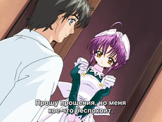 Maids in Dream / Девушки из грёз