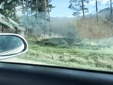 Бойфренд привёз в поле юную блондинку и отодрал в анал в позе раком