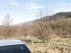 Бойфренд привёз в поле юную блондинку и отодрал в анал в позе раком