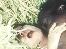 Чёрный мужчина ебёт на сеновале неудовлетворённую белую любовницу