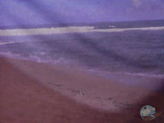 Горячая блондинка с большой грудью ебётся с мужиком на морском пляже