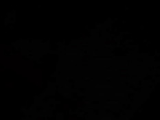 Худая тайская девушка с хвостиками после отсоса трахается с парнем