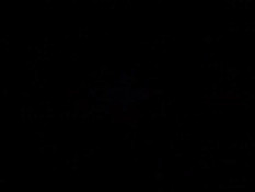 Ecchies / Etchies / Фривольности