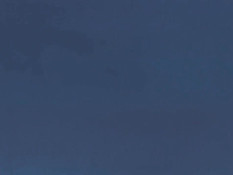 Wet Summer Days / Suika / Влажные дни лета