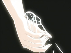 Chikan Densha / Экспресс-поезд