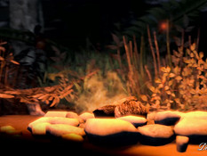 The Lie We Live / Ложь В Которой Мы Живём