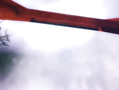 Yoshiwara Rose 2 / Роза Ёсивары 2