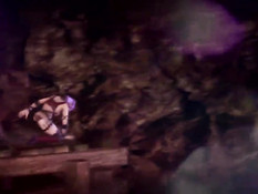 Yoshiwara Rose 2 / Роза Ёсивары 2