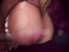 Yoshiwara Rose 2 / Роза Ёсивары 2