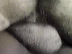 White dick gets black chick