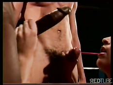 Cocksucking championships 