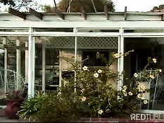 Black slut assbanged outdoor