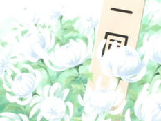 DNA Hunter / Охотницы за ДНК