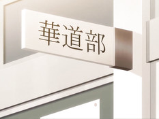 Daraku Reijou The Animation / Падшая любовь