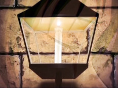 Hinadori no Saezuri / Девица по вызову