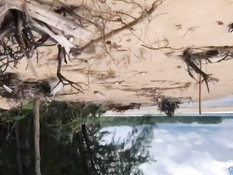 Красивая русская девушка ебётся со своим парнем на тропическом пляже