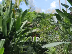 Красивая русская девушка ебётся со своим парнем на тропическом пляже