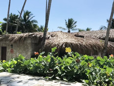 Светловолосая русская подруга отсасывает член на тропическом курорте