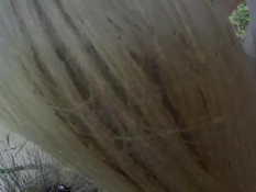 Блондинка в бикини пришла с парнем в лес и дала оттрахать себя раком