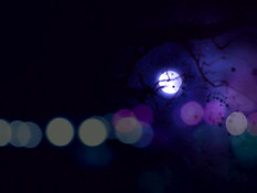 Taimanin Doujin 3 / Охотницы на демонов 3