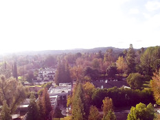 Две грудастые американские женщины занимаются свинг сексом с парнями