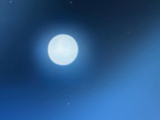 The Last Train To Gropesville / Последний поезд до Гропсвиля