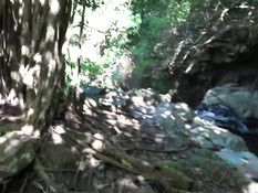 Парень привёз в джунгли молодую блондинку и отымел раком возле ручья