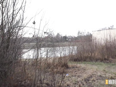 Он подвёз светловолосую чешскую тёлочку до леса и отодрал на обочине