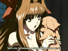 Blood Shadow / Кровавая тень