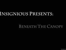 Beneath The Canopy / Под Навесом