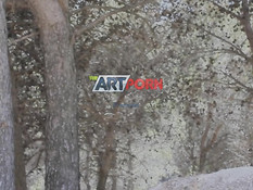 Привёз в горы красивую русскую девчонку и отымел на свежем воздухе