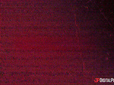 Молодая белая лесбиянка отлизывает клитор у мулатки и ебёт её в анус