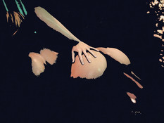 First Assignment / Первое Задание