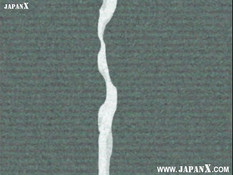 Kanariya wa Kago no Naka / Клетка