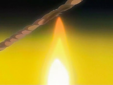 Blood Royal / Королевская кровь