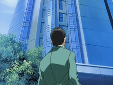 Lingeries Office / Дамское бельё