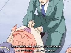 Lingeries Office / Дамское бельё