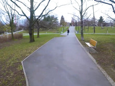 Грудастая русская тёлка высосала у пикапера сперму в городском парке