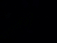 Project Nemesis / Проект Немезида