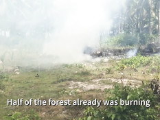 Заставил грудастую русскую шалаву сосать член и отымел её на кровати