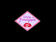 Stainless Night / Ночь без страха и упрёка