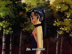 Stainless Night / Ночь без страха и упрёка