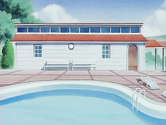 Stainless Night / Ночь без страха и упрёка