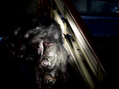 Devil May Laugh 5 / Дьявол Может Смеяться 5